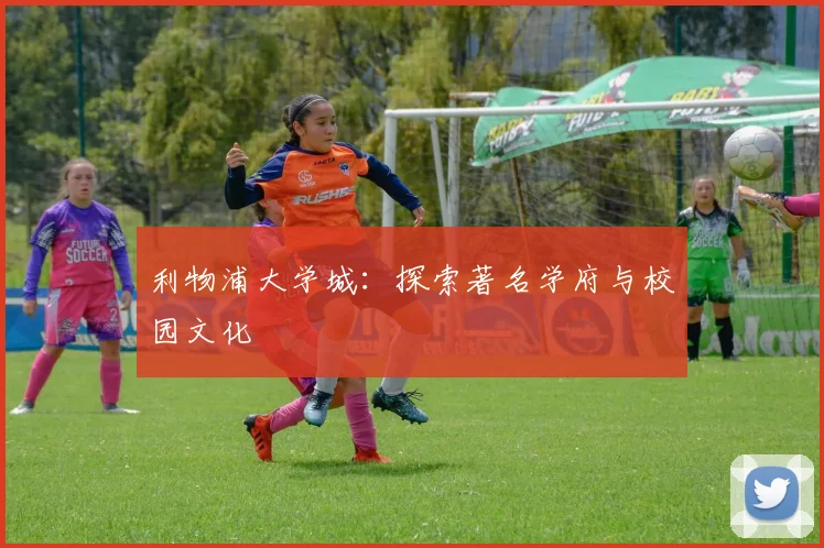 利物浦大学城：探索著名学府与校园文化